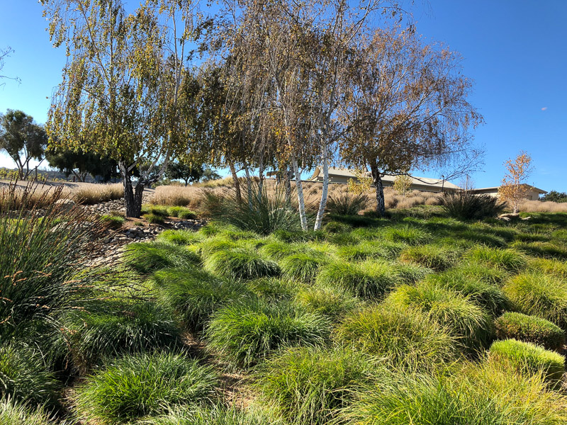 Beautiful landscaping